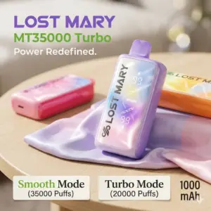 lost mary mt35000 review